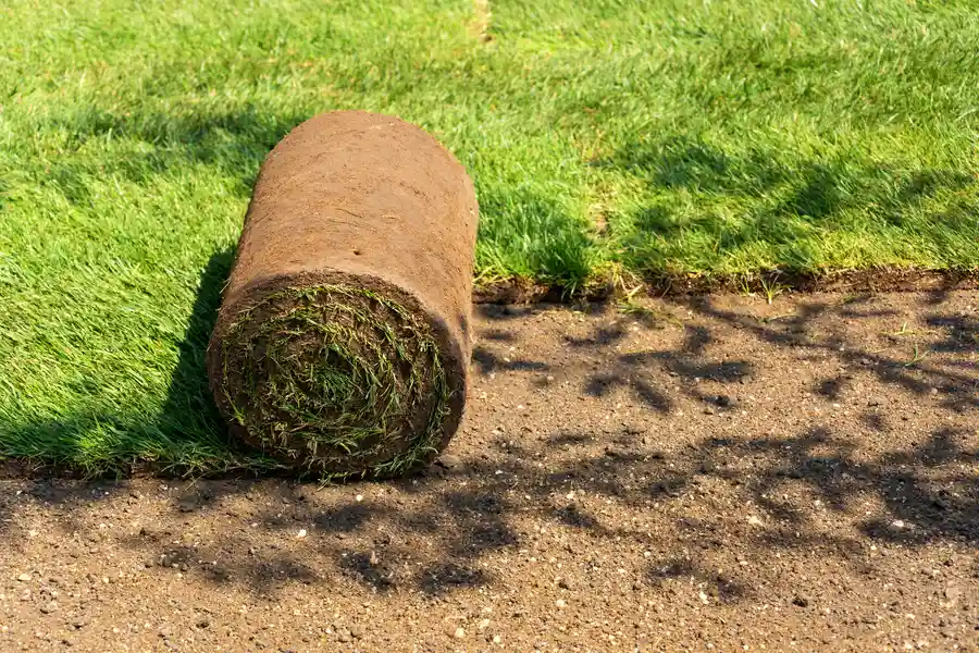 Landscape Installation